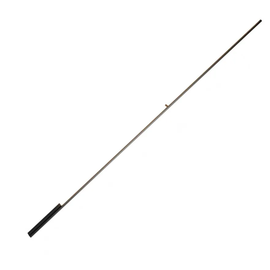 TWIGG Lange, schmale Wandleuchte in Schwarz